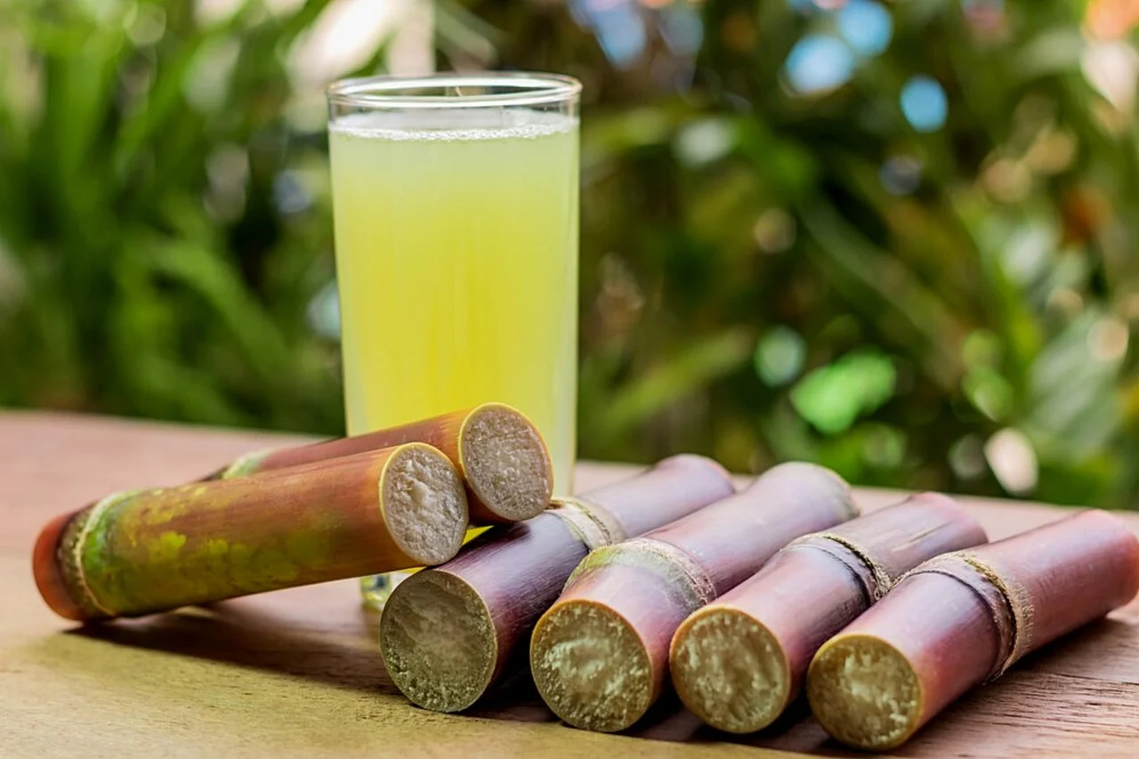 Interesting Facts about Sugarcane – History, Uses, & Varieties ...