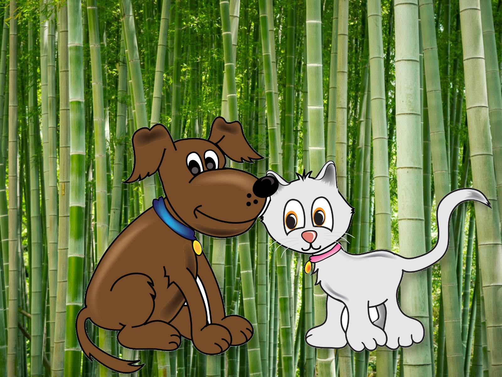 growing-bamboo-with-pets-is-it-safe-gardeners-grail