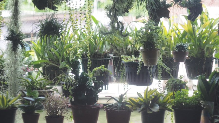 5 Botanical Gardening Techniques Every Plant Lover Should Master ...