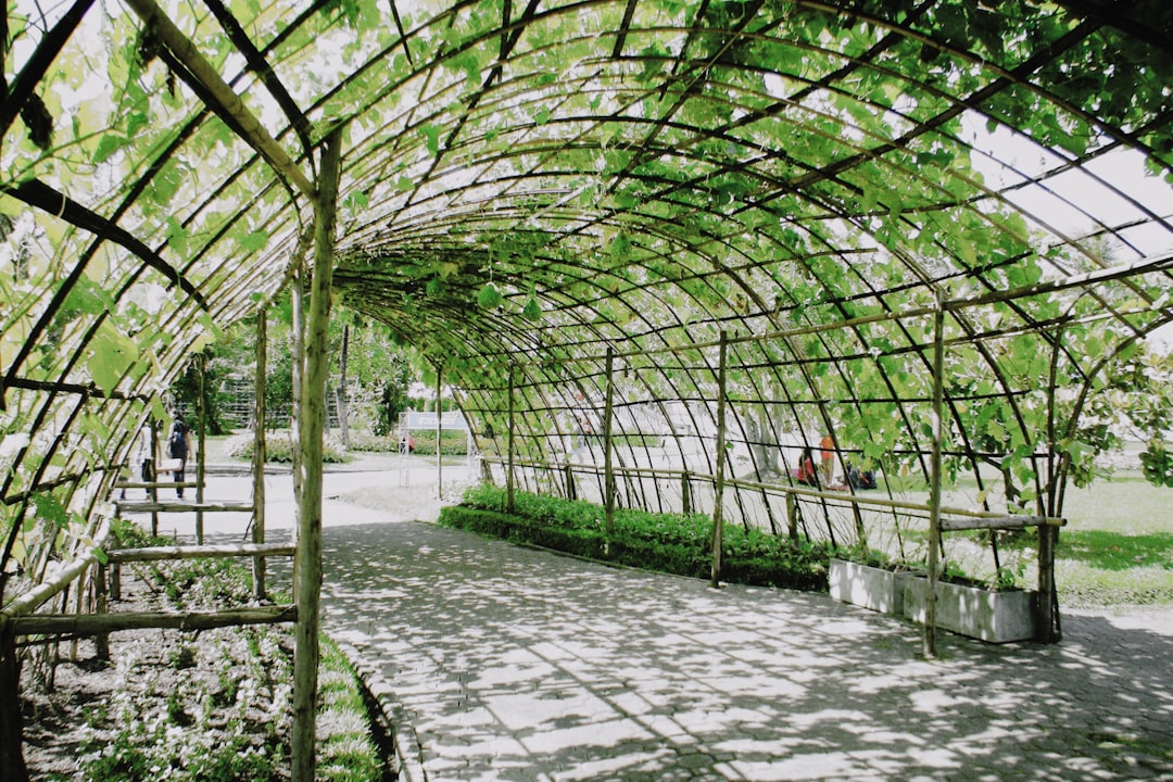 Gallery image with a fresh perspective
